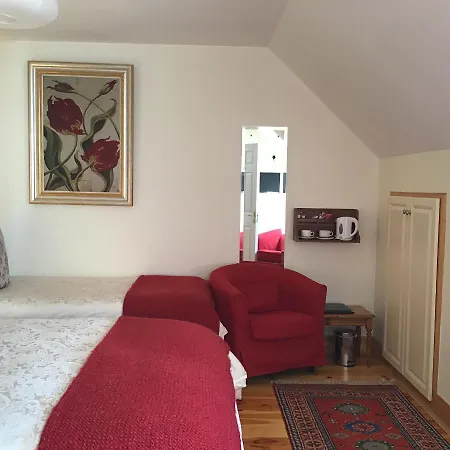 Ballyvaughan Lodge Guesthouse بيت ضيافة باليفاوغان
