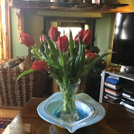 Ballyvaughan Lodge Guesthouse ゲストハウス バリーボーン