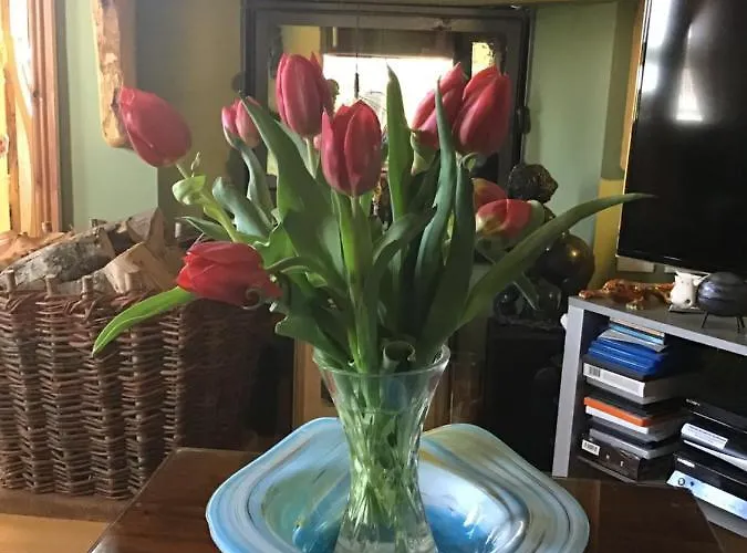 Ballyvaughan Lodge Guesthouse Gasthof Ballyvaughan